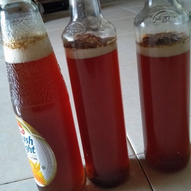 

Madu lebah mentawai