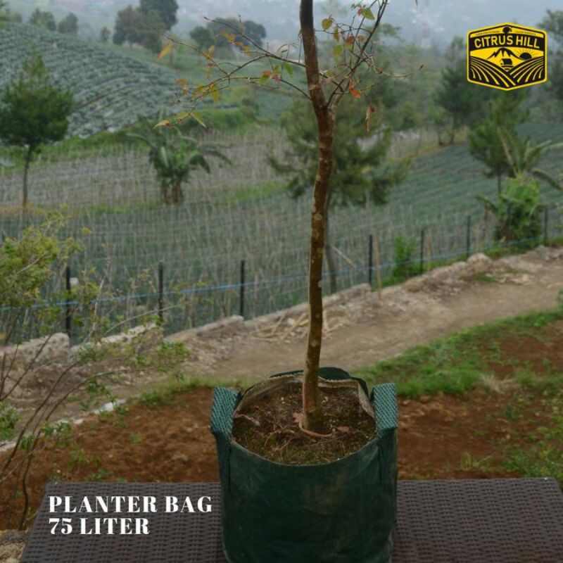 Planter Bag 75 Liter

