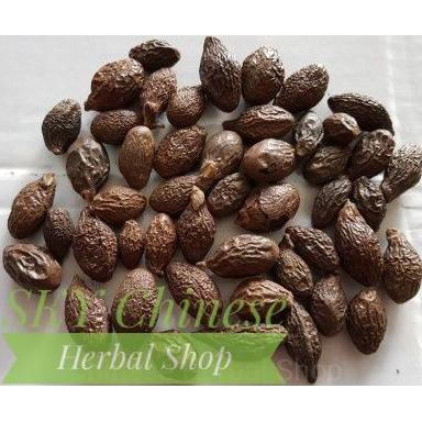 

Best Seller] (1 Kg) Kacang Malva / Buah Tempayang / Tempoyan / Semangkuk /Bengtahai