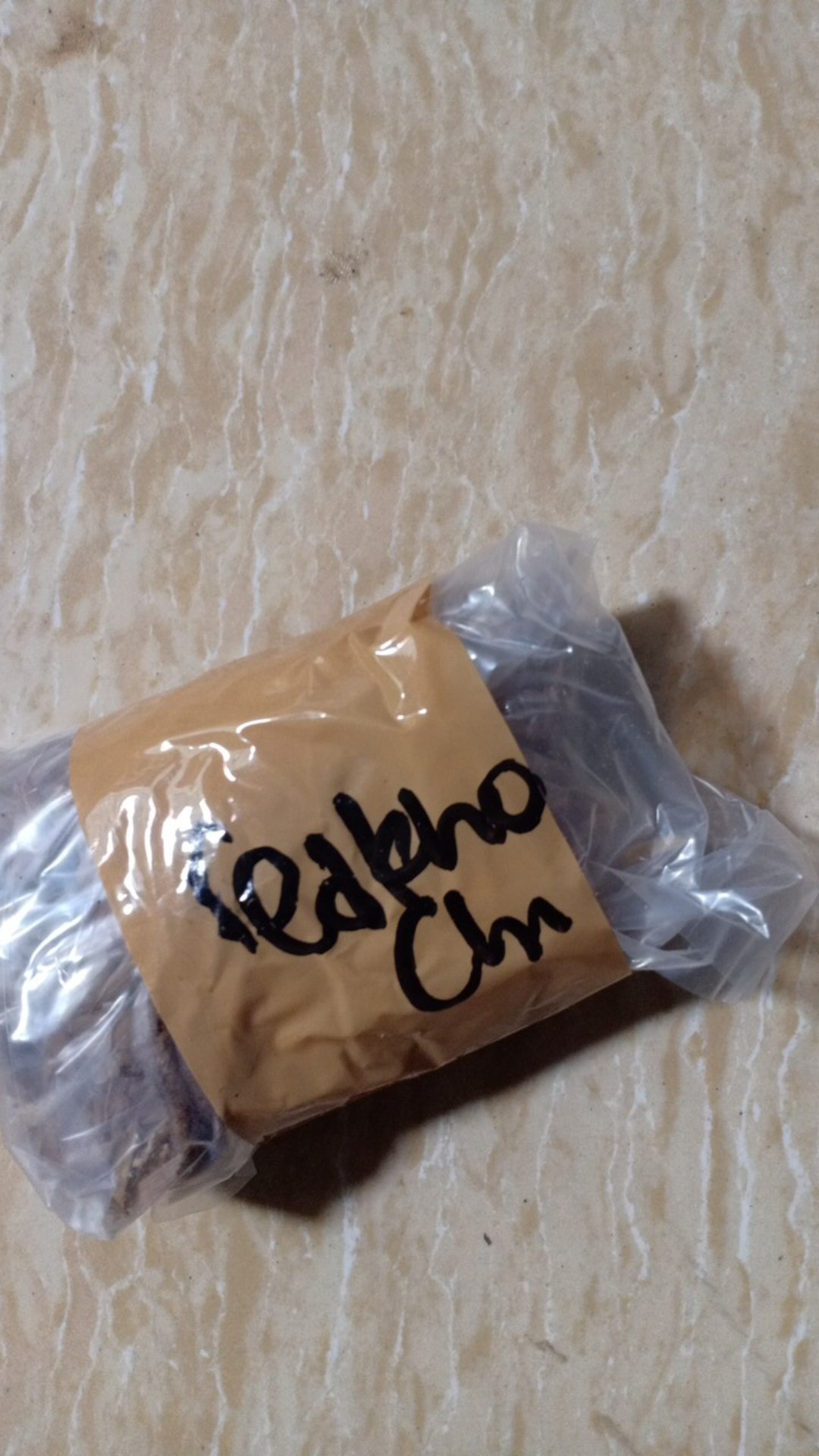 Ready Bonggol Aglonema Red Khocin