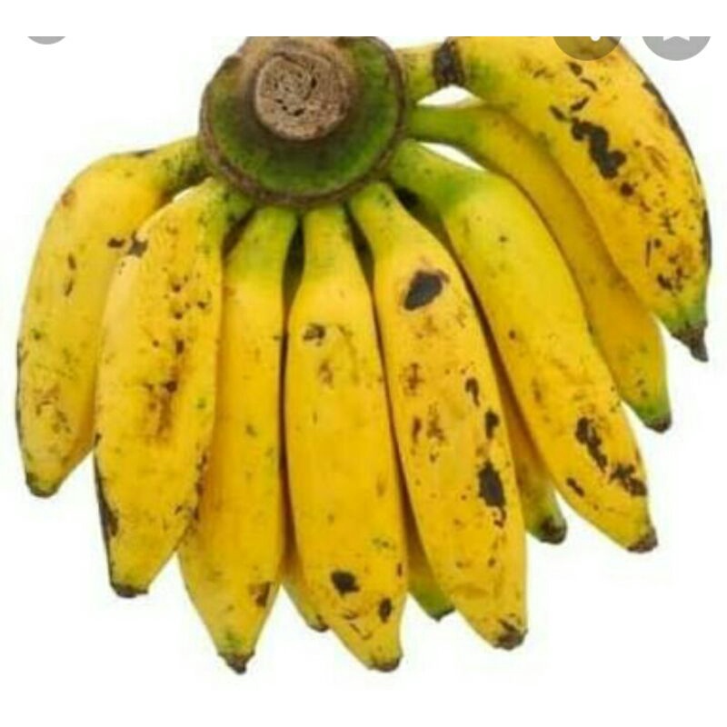 

pisang uli fresh/1sisir