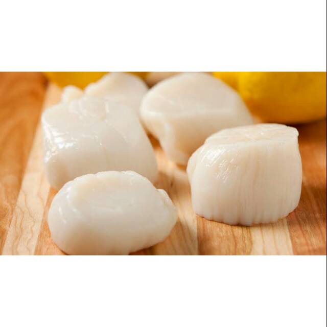 

Scallop iqf 10/20 ct us