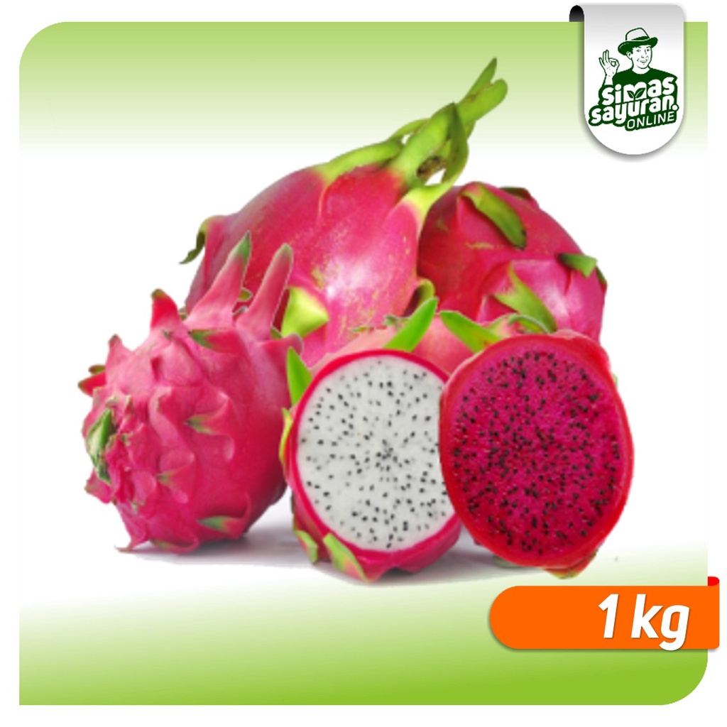 

Buah Naga 1 Kg Metro Lampung