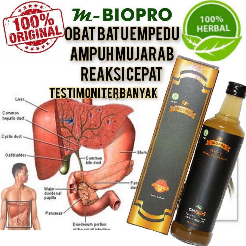 M Biopro Original Obat Batu Empedu Tanpa operasi l Obat Herbal Batu Empedu 380 ml Reaksi Cepat