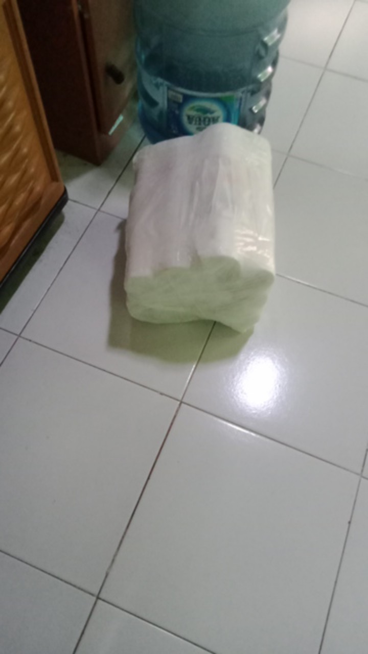 Cartridge Filter Air Spons Sedimen