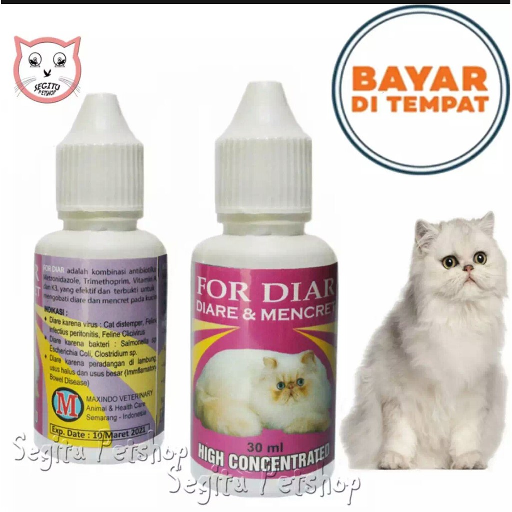 Obat kucing  Diare Mencret anjing dan hewan peliharaan lainnya