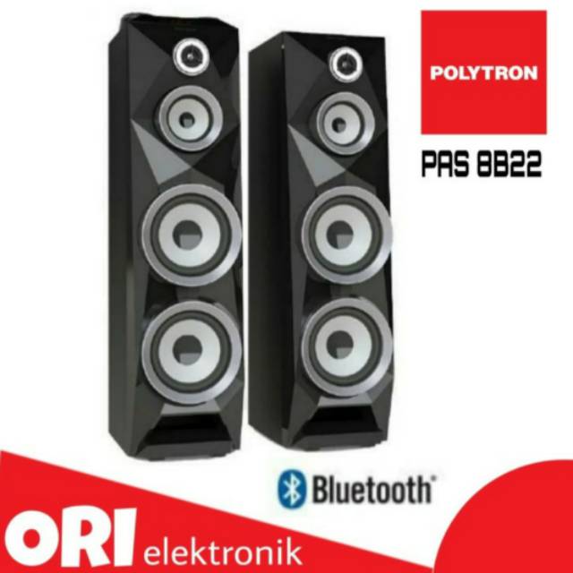 POLYTRON Active Speaker PAS 8B22/PAS 8BF22