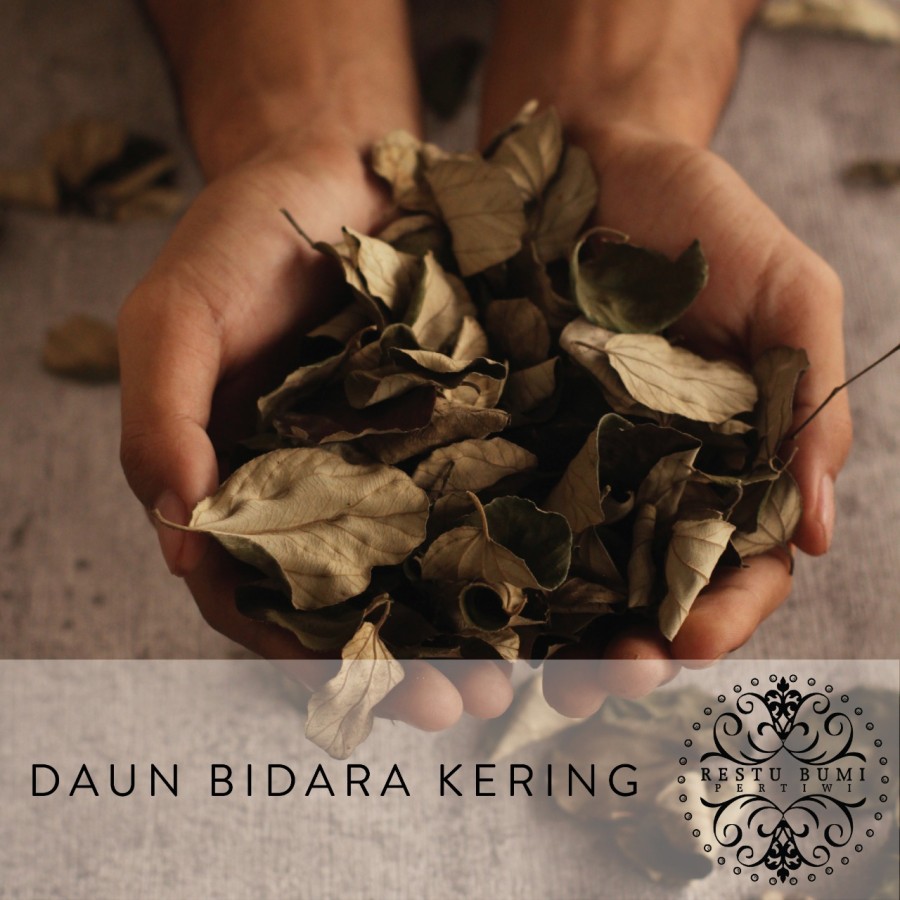 

Daun Bidara Arab kering - Daun Herbal - Pengobatan Tradisional 10 gram