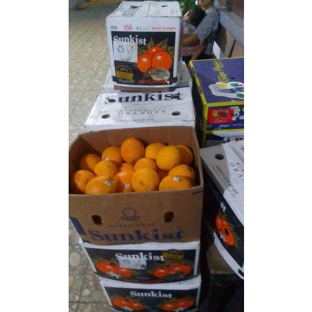 

jeruk sunkist navel USA