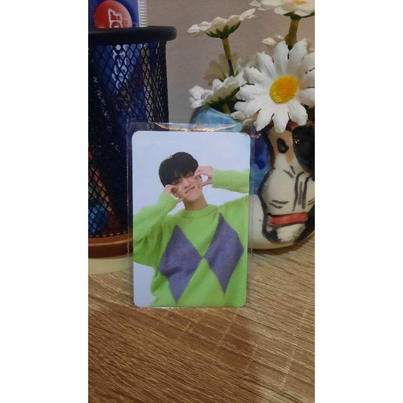 OFFICIAL AR PC HARUTO FULL ALBUM TREASURE EFFECT