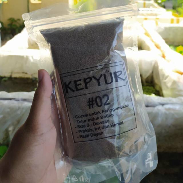 Pakan Indukan Cupang