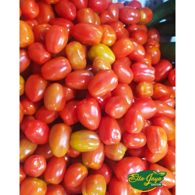 

Tomat Cherry 250gram Fresh Purwokerto