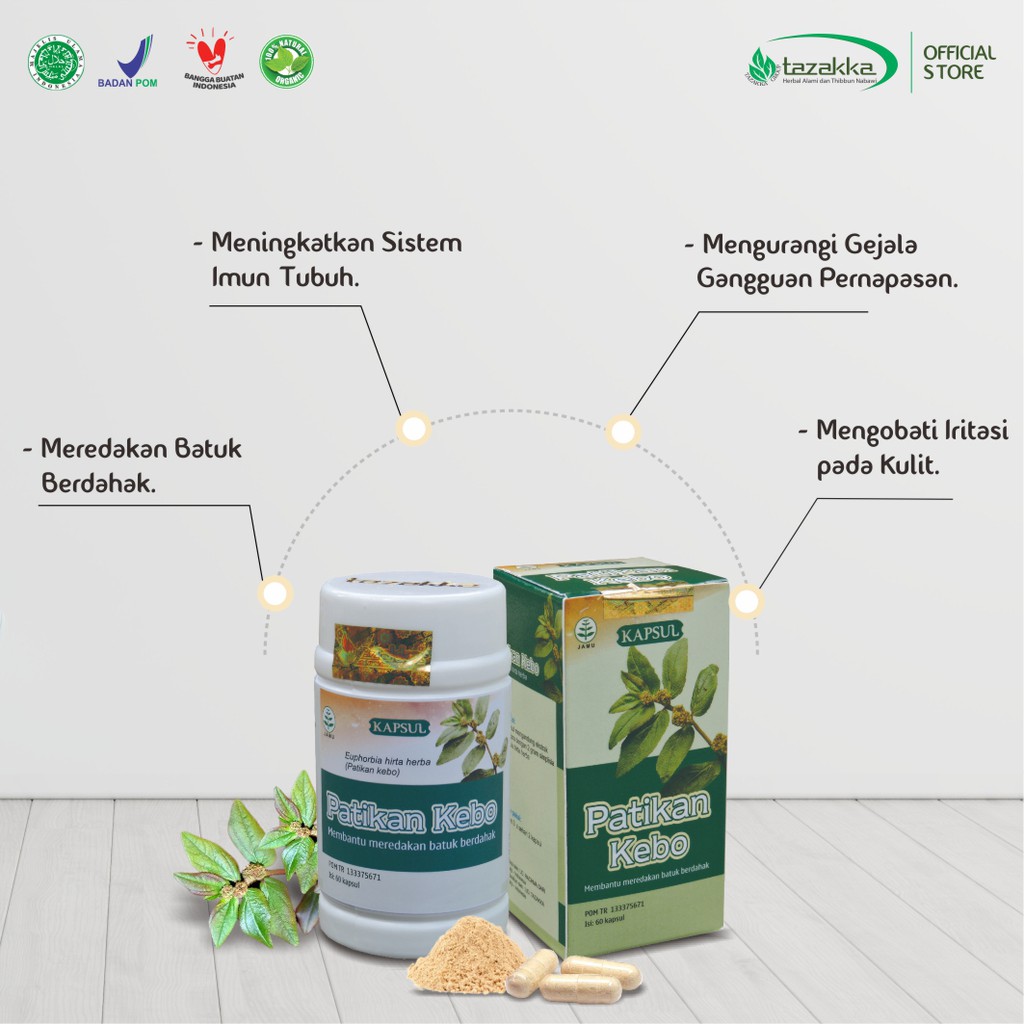 Obat Batu Berdahak | Obat Bronkitis | Obat Herbal PATIKAN KEBO Tazakka isi 60 Kapsul | HALAL BPOM