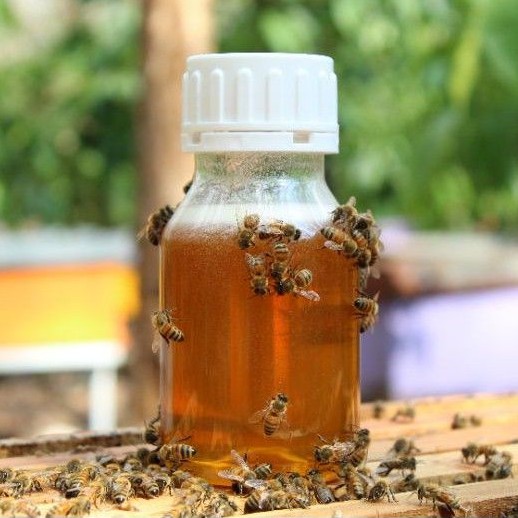 

250 ml Madu Murni tanpa proses | Raw honey unprocessed