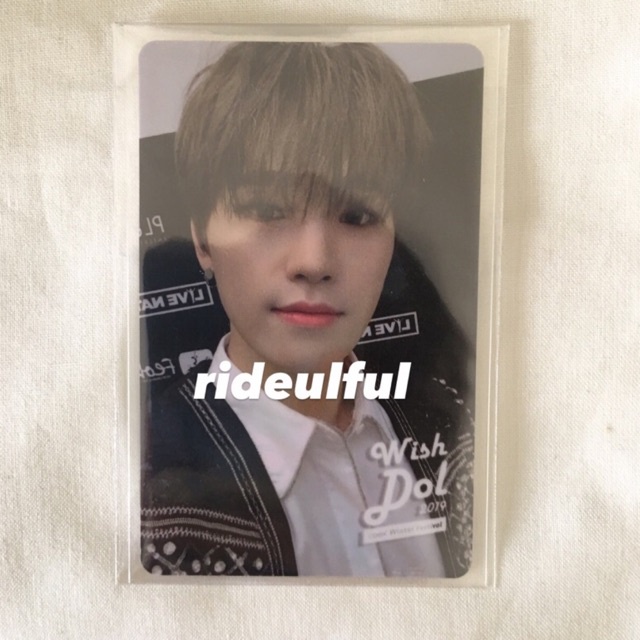 seventeen wishdol wd dino