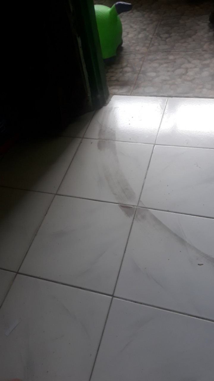 Kepala Bunga Mawar Satuan Rose Flower Head