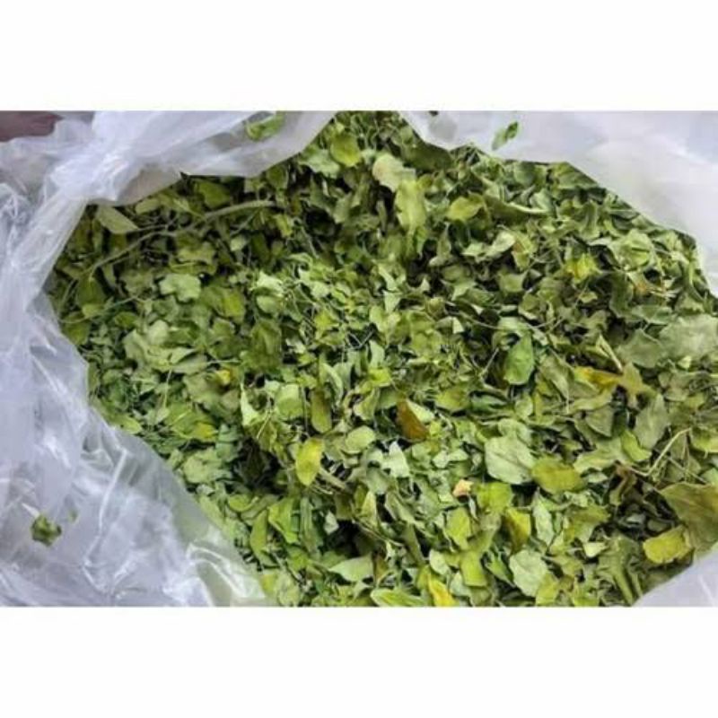 

PROMO DAUN KELOR KERING 1kg