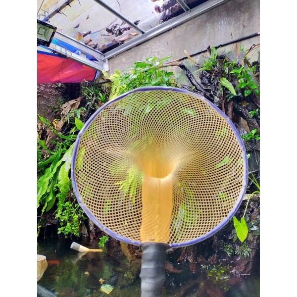 Seser Serokan Ikan Besar Jumbo Seser Ikan Lele Gurami 30cm