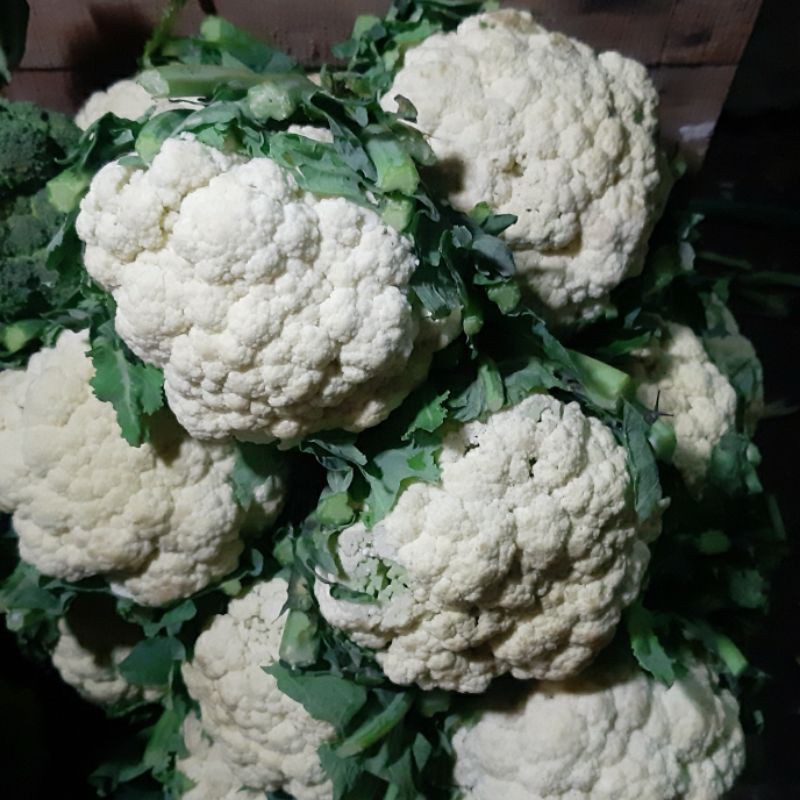 

Kembang Kol 1kg (1000g)