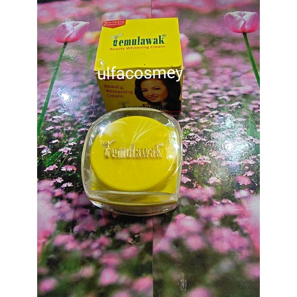 cream temulawak pot kaca