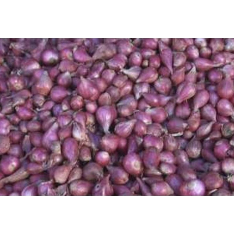 bawang merah 500gr