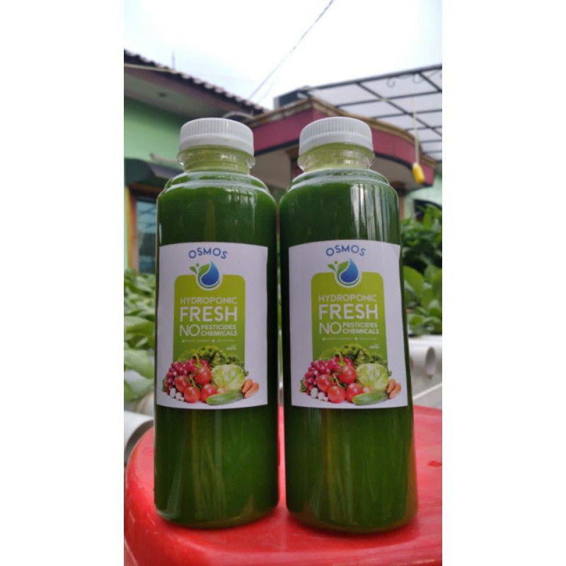 

PROMO MURAH jus sayur buah nanas, apel, pisang, sayur herbal alami