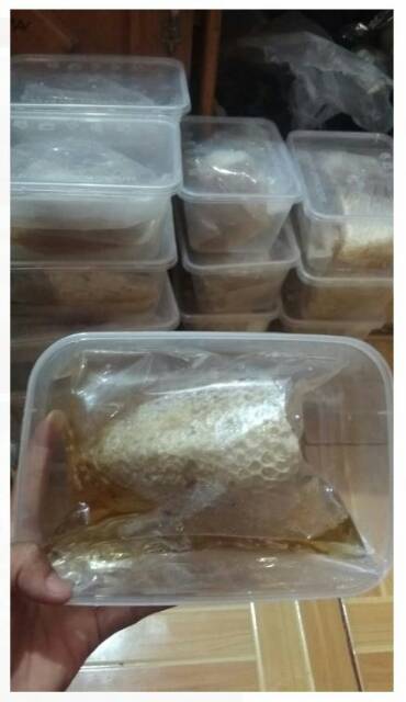 Sarang Madu Hutan 500gr/Sarang Madu Asli/Sarang Madu Murni/Sarang Madu asli murah/Madu Sarang asli