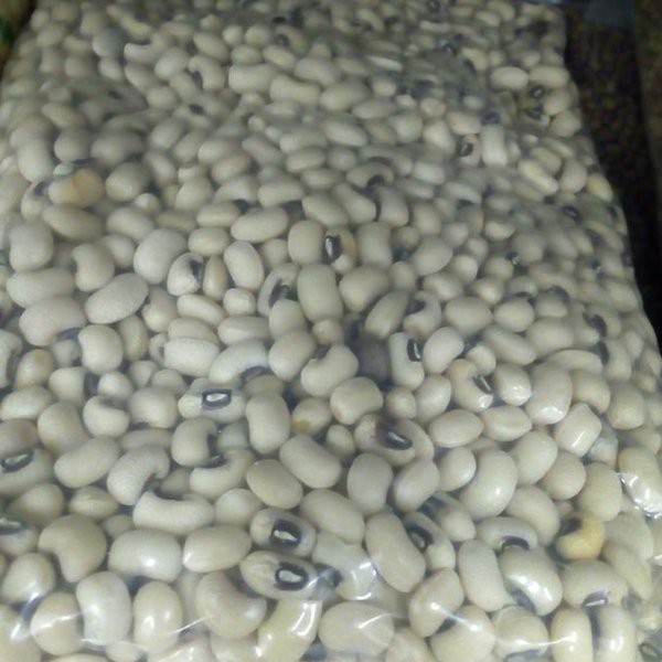 

Kacang Lubia Dal Repacking 1kg / Long Beans