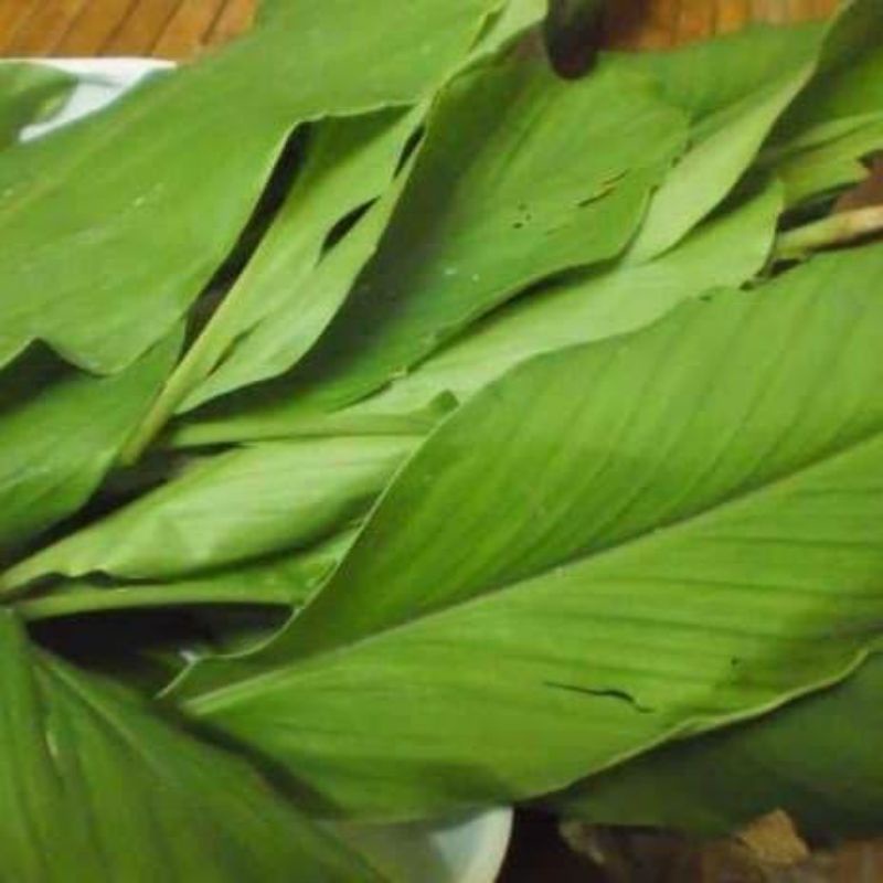 

Daun Kunyit