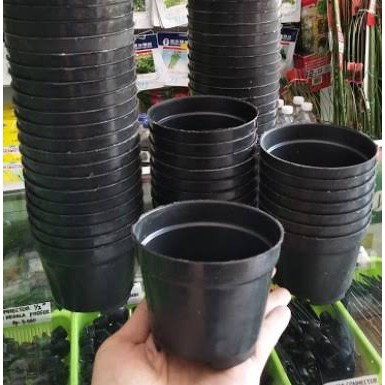 Pot hitam kecil lusinan uk 10 pot bunga lusin