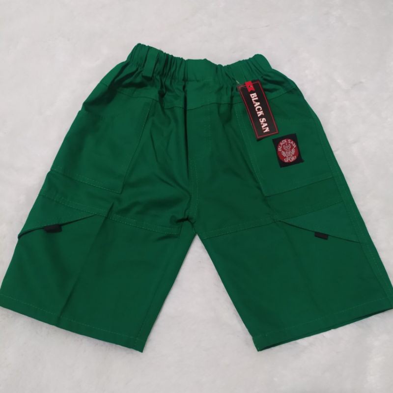 Celana pendek anak laki-laki 3/4 usia 3-12 tahun kolor cowok santai pants boxer hawai harian premium