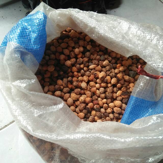 Biji Bidara Arab 1 kg