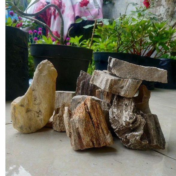 Batu Fosil Kayu