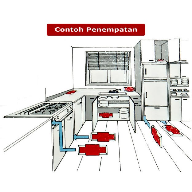 Rumah Kecoa - Basmi Tuntas Kecoa Tanpa Insektisida