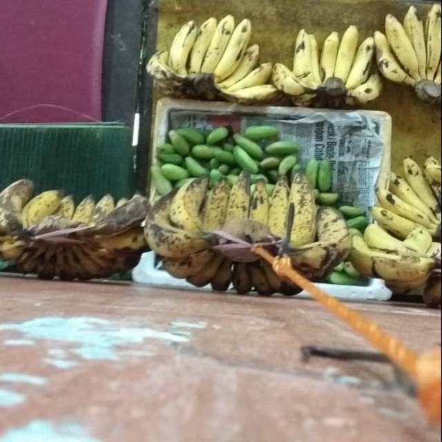 

Pisang ambon,