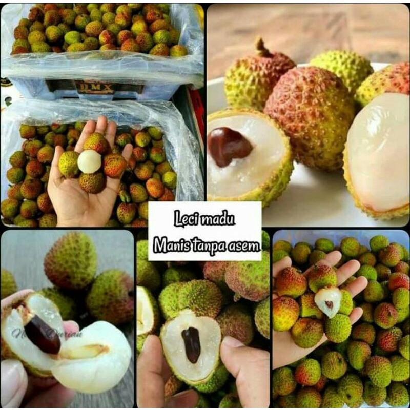 BUAH LECI MADU SEGAR FRESH 1 KG