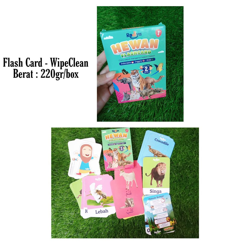 FLASH CARD HEWAN - WIPE CLEAN