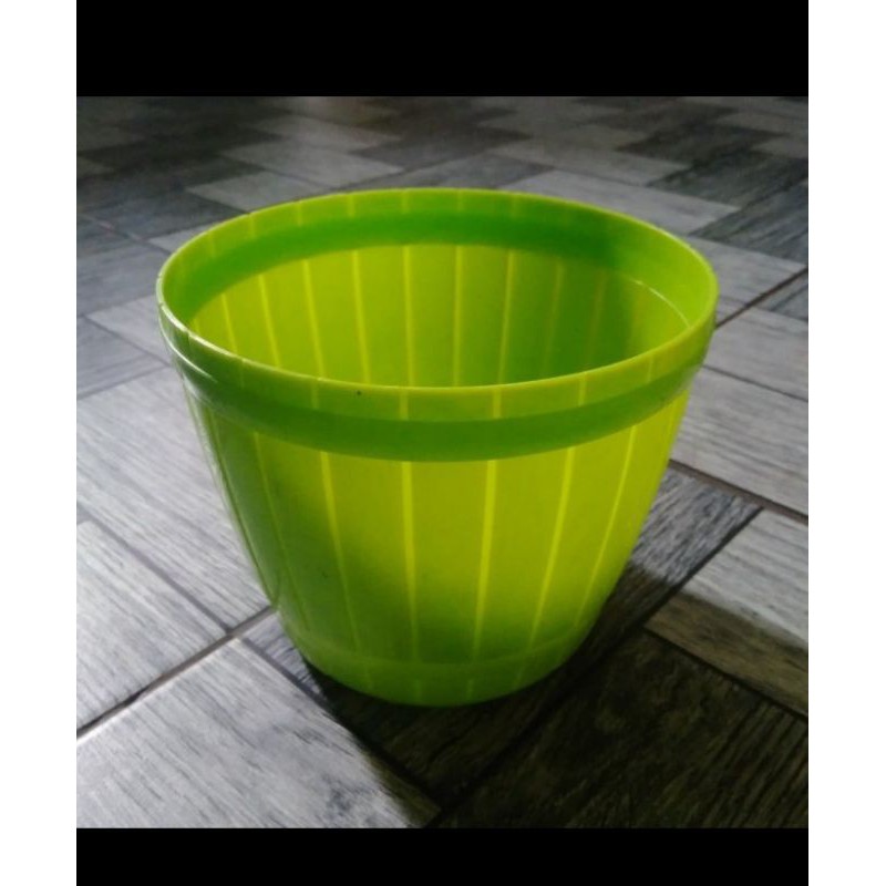 pot bunga Philodendron - pot bunga plastik