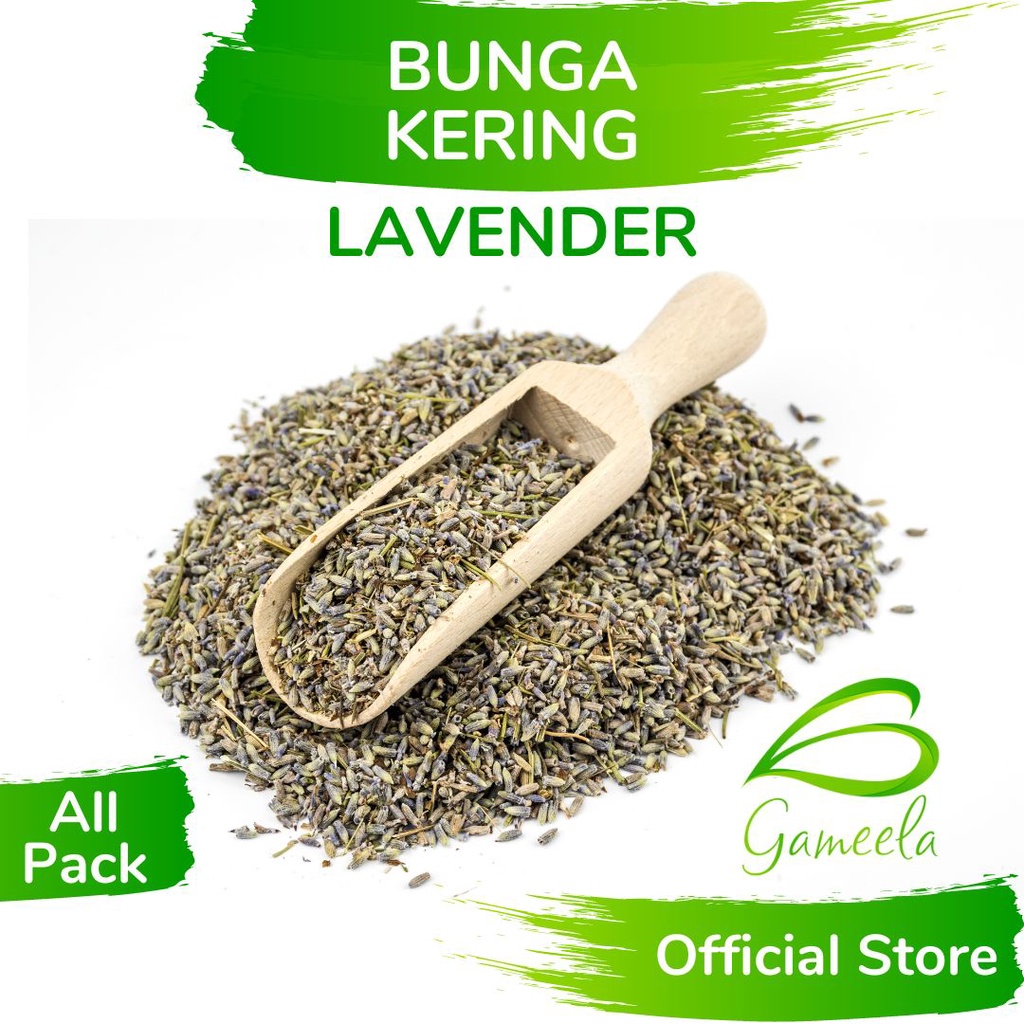 

Gameela Bunga Lavender Kering All Pack Bunga Teh Seduh Alami