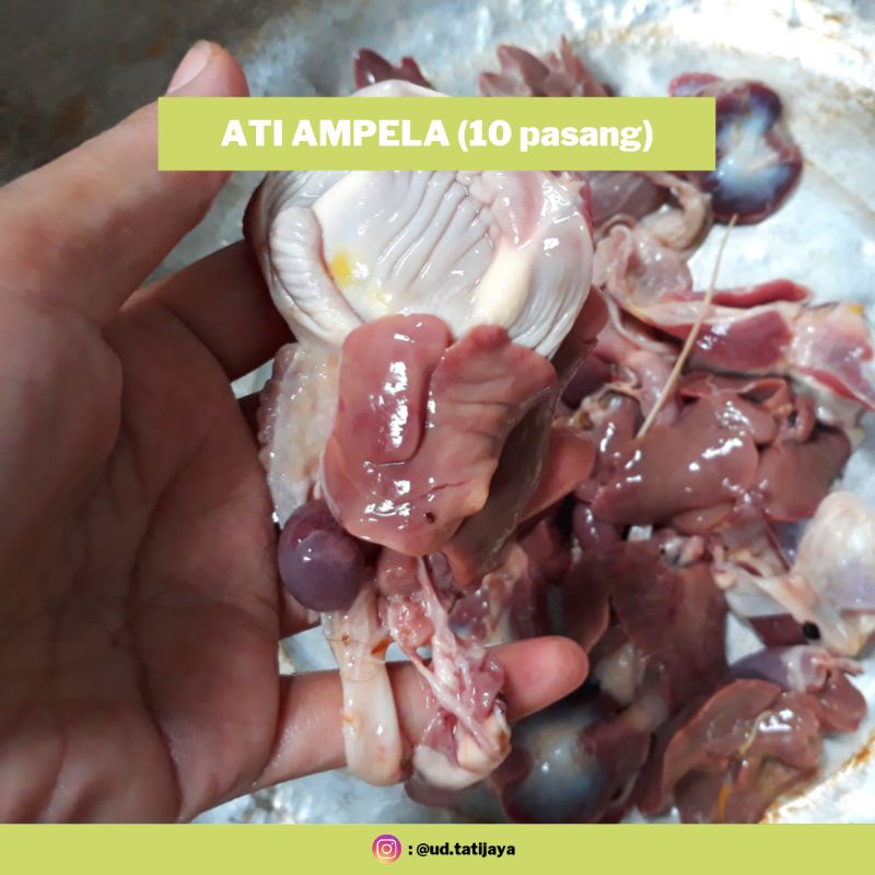 

TERMURAH!!! ati ampela ayam kampung (10 pasang ukuran sedang)