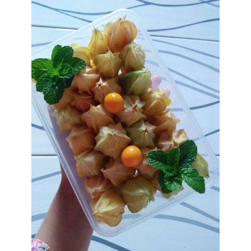 

Golden Berry