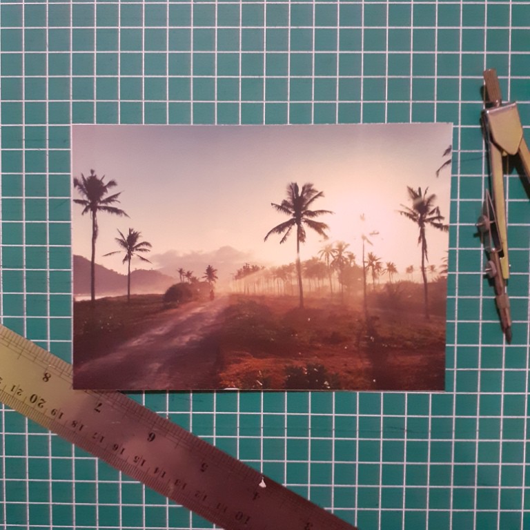 

[A-17] Kartu Pos/Postcard Pohon Palem