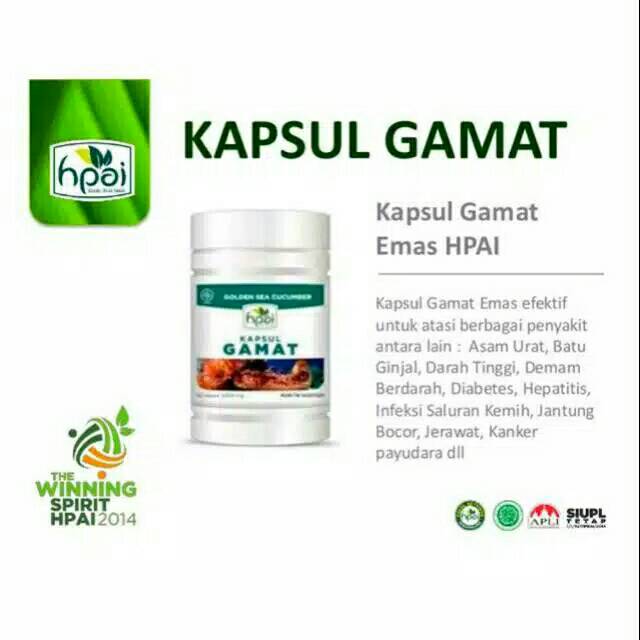Kapsul Ekstrak Gamat Emas Hni Hpai Obat Asam Urat Ginjal Diabetes Kanker Kista Maag Kolesterol Asma Indonesia