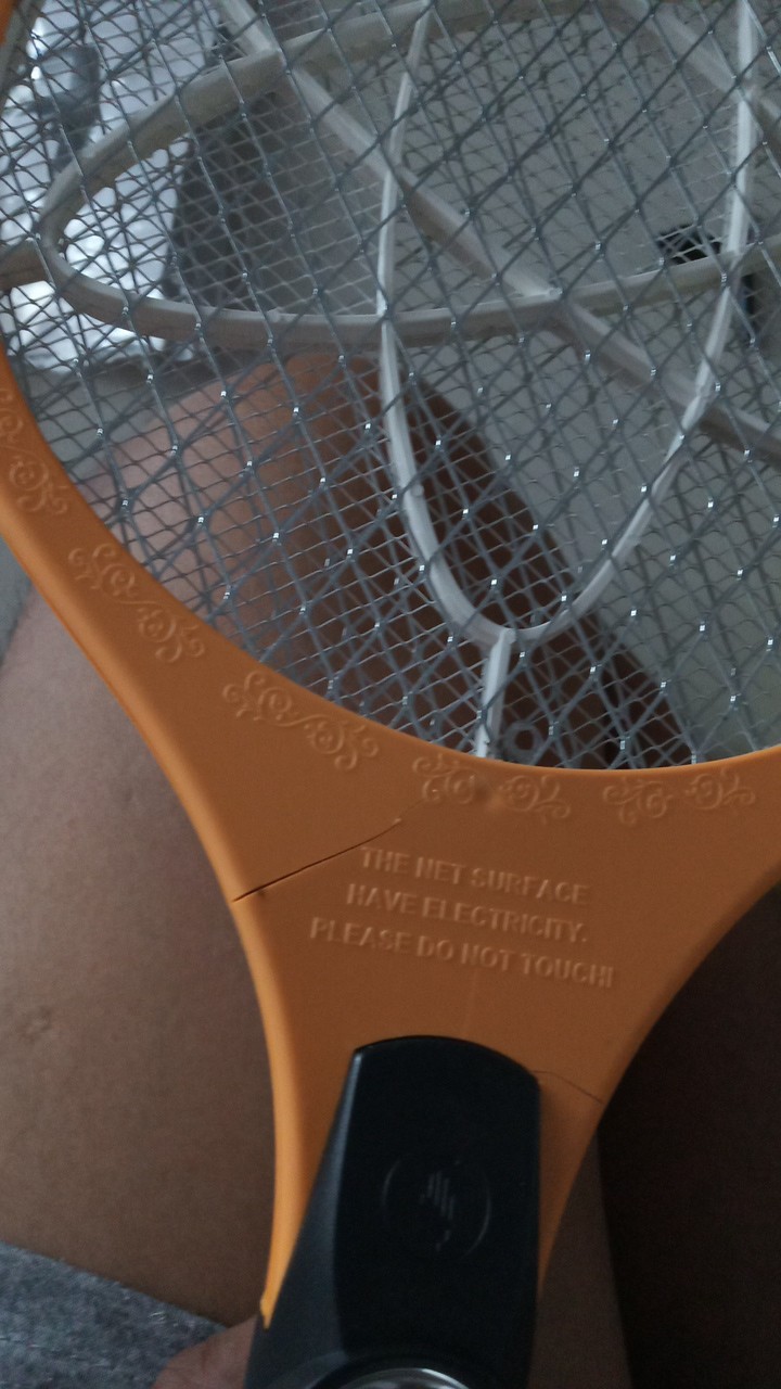 Raket Nyamuk Zz One Electric Mosquito Rapper