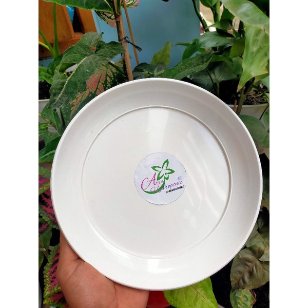 tatakan putih /alas pot 25cm