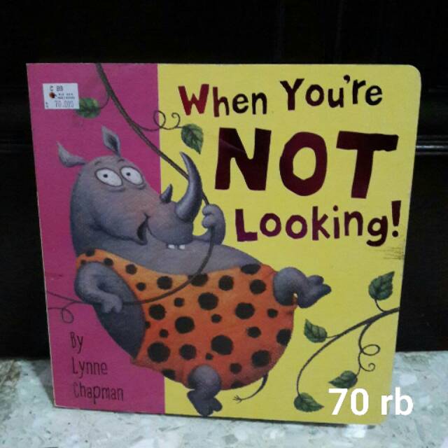Buku BBW murah / bbw book sale / buku import anak murah when you are not looking