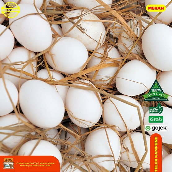 Telur Ayam Kampung Merah 15 butir