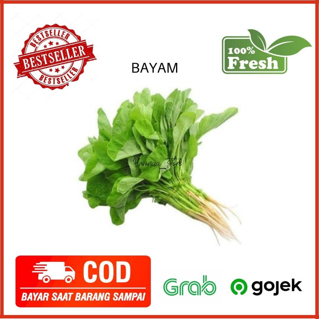 

Bayem / Bayam Sayur Segar Sayur Mayur Sayur Fresh Per Ikat