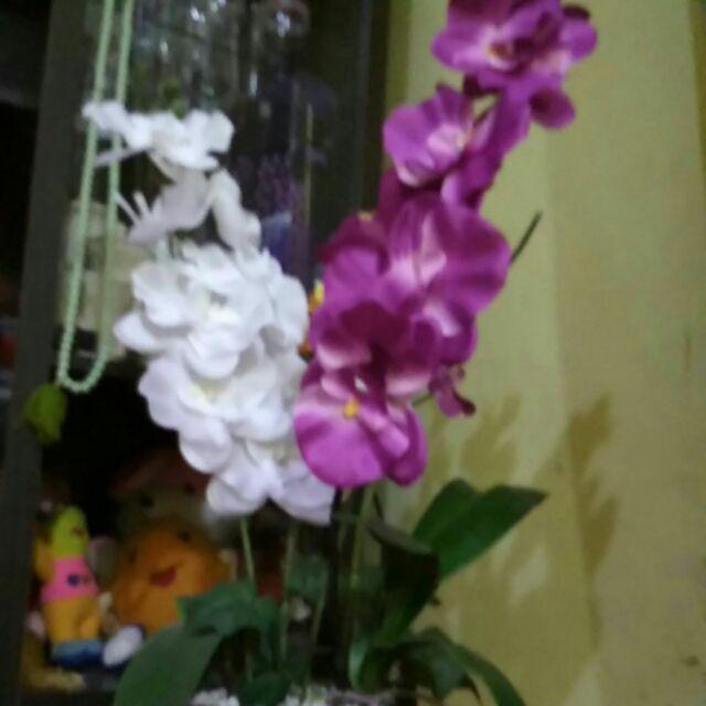 Anggrek Bulan Artificial Jumbo