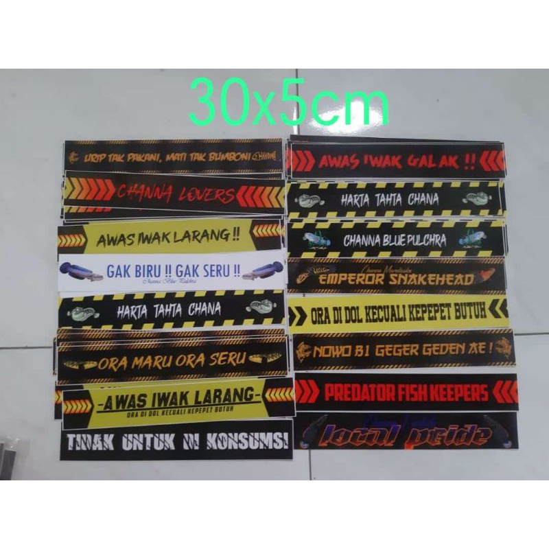 sticker anti air lis atas akuarium stiker iwak galak | Predator Fish  channa